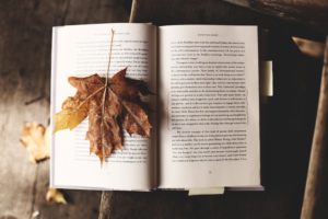 An opened book with a maple leaf on the left page.