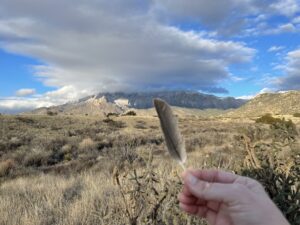 I'm holding a bird feather in front of the Sandia mountains against a cloudy blue sky.